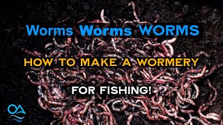 Making a wormery and keeping worms for fishing  Perch Chub Barbel Carp fishing [upl. by Malina]