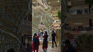 Phoenix Palassio Mall youtubeshorts vido [upl. by Nahem]