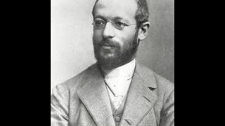 georg simmel [upl. by Attenra]