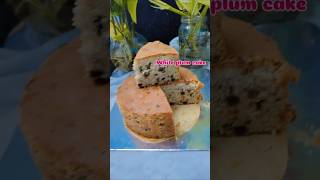 white plum cake കഴിച്ചിട്ടുണ്ടോ😋🍰shortsfeedplumcakecakeloverhomemadecakeyoutubeshorts [upl. by Alaehs266]