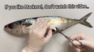 Shocking Parasites Discovered During Mackerel Dissection [upl. by Andonis]