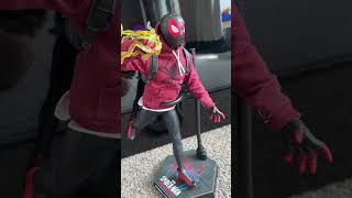 Bodega cat suit poses hot toys milesmorales [upl. by Ecille70]