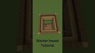 Minecraft easy Starter house Tutorial shorts [upl. by Darrey]