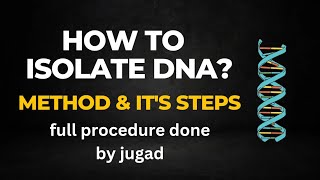 DNA isolation and extractionclass 12th biology practical [upl. by Kahn349]