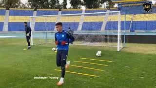 Professional Goalkeeper Training [upl. by Jannel820]