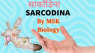 SARCODINA By MSK Biology [upl. by Nalon]