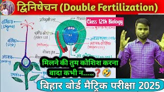 Class 12th biology chapter 2  Reproduction in flowering plants द्विनिषेचन की क्रिया [upl. by Ynot]