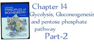 Glycolysis Gluconeogenesis and pentose phosphate pathway Chapter 14  part2 in Urdu [upl. by Yentrok]