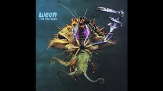 Ween  The Mollusk Sessions  Koko [upl. by Torras]