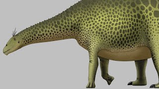 Brachytrachelopan  The ShortNecked Sauropod [upl. by Alfredo]