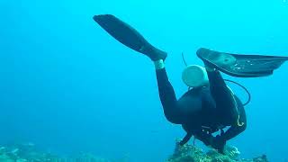 Scuba diving in Cancun 2 [upl. by Enorel]