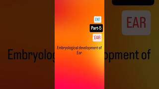 Embryological development of Ear neet medical neetpg ent medico marrow mbbs [upl. by Deys]