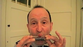 Mondharmonica beginners video 7 Single note playing amp toonladder pucking [upl. by Naomi249]