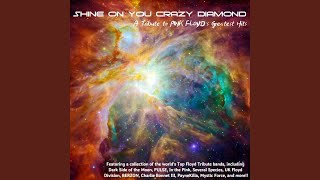 Shine On You Crazy Diamond [upl. by Nahgeem294]