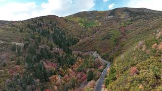 Butterfield Canyon Fall Colors 2024 [upl. by Atiz]