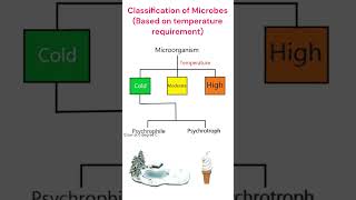 Classification of Microorganism Temperature requirement microbiology animation [upl. by Weidner]