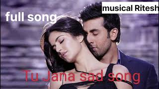 Tu jana nà sad full song HD MP3 [upl. by Acinorrev654]