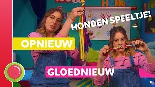 LAAT DE HOND AAN JOUW TSHIRT KNABBELEN  Opnieuw gloednieuw [upl. by Petromilli]