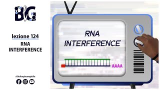 RNA INTERFERENCE Interferenza a RNA siRNA e miRNA [upl. by Maccarthy806]