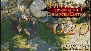 Divinity Original Sin • 020 • Der Schnüffler [upl. by Shaff905]