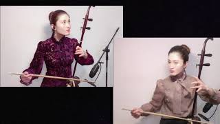 Bad Guy  Feifei Yang Erhu  Poly Online Concert [upl. by Ottavia701]