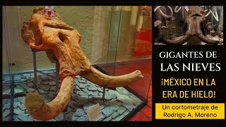 GIGANTES DE LAS NIEVES  Cortometraje de Paleontología [upl. by Avaria]