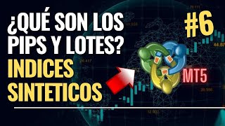 ¿QUÉ ES EL PIP Y EL LOTAJE EN INDICES SINTETICOS  BASICO PARTE 1 [upl. by Ayimat281]