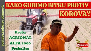 KAKO GUBIMO BITKU PROTIV KOROVA PROBA AGRIONAL ALFA 1000 ARE WE LOSING BATTLE AGAINST WEEDS [upl. by Arahsat]