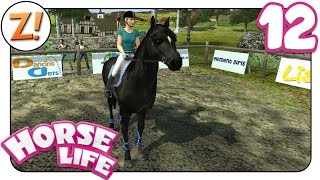 Horse Life  Freunde für immer Die FailKaddi schlägt zu 12  Lets Play ★ GERMANDEUTSCH [upl. by Gide]