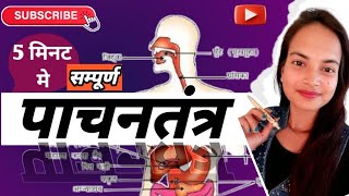 Digestive System  पांचन तंत्र   Digestive System  By Shilu maam biology viral [upl. by Mharba]