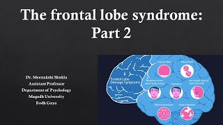 The Frontal Lobe Syndrome Part 2 अग्रपालि सिंड्रोम भाग 2 [upl. by Danell188]