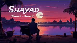 Shayad Slowed  Reverb Arjit Singh mostromanticlovestoryinhindi arjitsingh jotumnahostatus [upl. by Mayes]