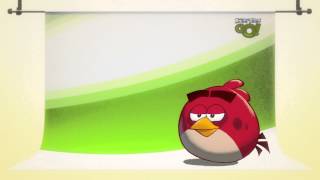 Angry Birds Facebook Gameplay [upl. by Graehl]