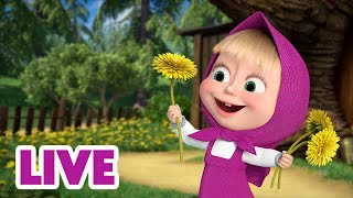 🔴 LIVE STREAM 🎬 Masha and the Bear 🐾 Pawsome Adventures ✌️🙌 [upl. by Ahsenyt]