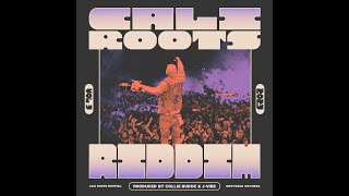 Collie Buddz  Cali Roots Riddim 2023 Full Album [upl. by Thoma]