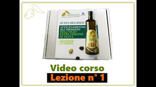 Lezione 1  Video corso di avvicinamento allassaggio dellolio vergine di oliva [upl. by Oirasec]