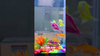 Fish tank setup 🔥wholesale fishstore fishbowl fishshop tanksetup [upl. by Orpha]