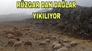 YAYLADA SON GÜNLER HAVA ŞARTLARI ZORLUYOR [upl. by Acissaj]