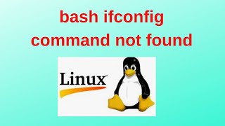 bash ifconfig command not found [upl. by Rawdan]