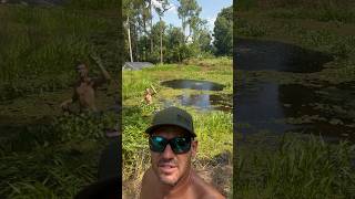 Duckweed removal at the BBG pond fishing topwaterbass bassfish pond reels fish goodvibes [upl. by Sivia]