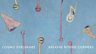 Cosmo Sheldrake  Breathe Round Corners [upl. by Liss]