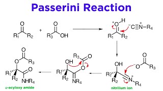 Passerini Reaction [upl. by Yentrok]