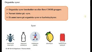 Organiske syrer [upl. by Yeleak]