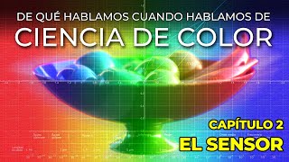 CIENCIA DE COLOR 2 El sensor 🟣🔵🟢🟡🟠🔴 [upl. by Yentiw772]