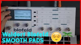 Waldorf Blofeld Synth The Best Pad Sounds [upl. by Dnalerb]