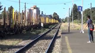 tren temuco regreso alameda 2017 [upl. by Frederich915]