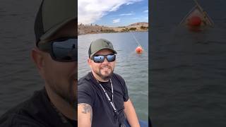 Lake Mead Update 😂 sincityoutdoors lakemead shorts [upl. by Piotr382]