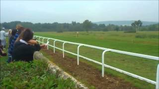 Courses hippique les Andelys [upl. by Linders]