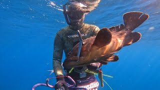 Vanatoare Subacvatica si Pescuit in Grecia Thassos Grouper si Amberjack [upl. by Englis]