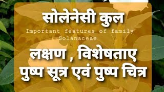 Family solanaceae detailed Notes in hindi [upl. by Feigin460]